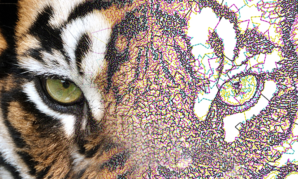 Software Brother BE EmbroideryStudio