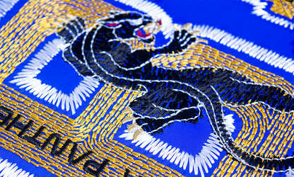 Software Brother BE EmbroideryStudio