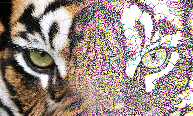 Software Brother BE EmbroideryStudio