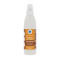 DEODORANTE PER AMBIENTI SPRAY 150 Ml ARGAN