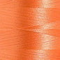 Poliestere Tit.40 Col.1778