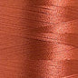 Poliestere Tit.40 Col.1899
