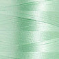 Poliestere Tit.40 Col.1900