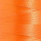 Poliestere Tit.40 Col.1965
