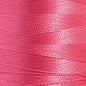 Poliestere Tit.40 Col.1993