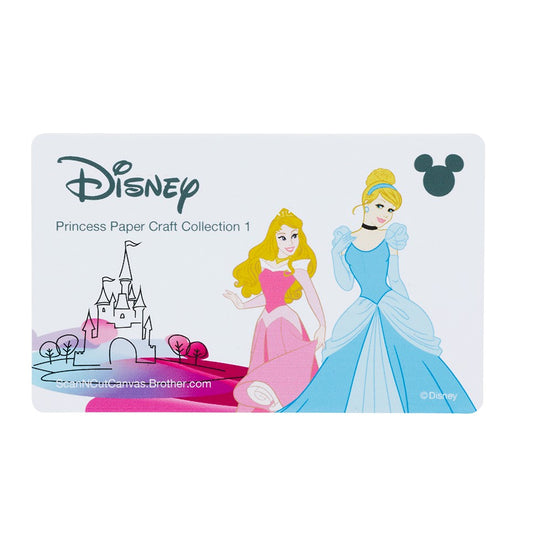 Scheda Disney n.2 "Principesse"
