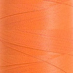 Poliestere opaco Tit.40 col.7621